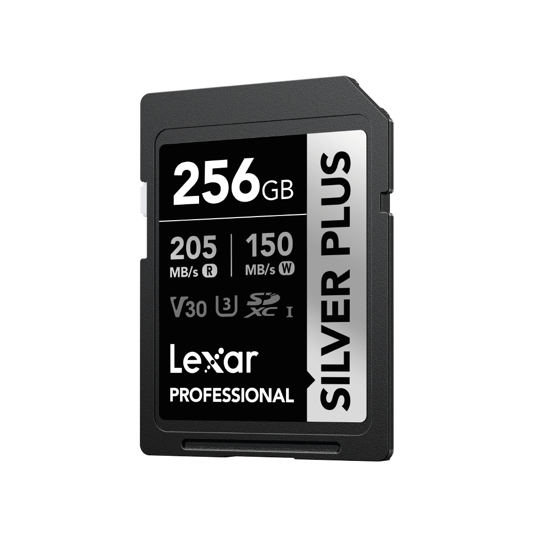 Tarjeta de Memoria SD Lexar Silver Plus Professional - 256GB