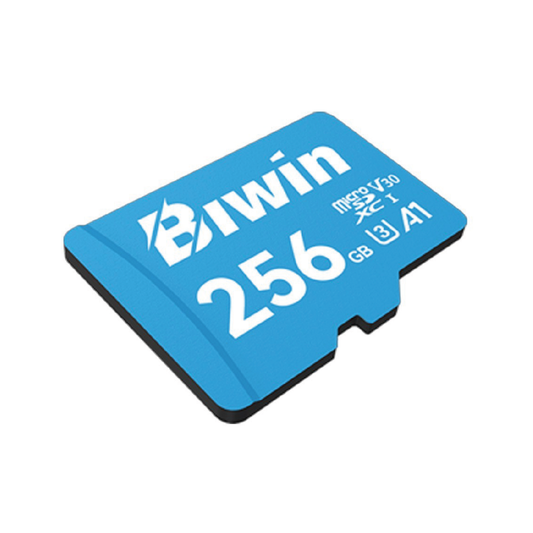 Tarjeta De Memoria Micro SD Biwin ms100 256GB