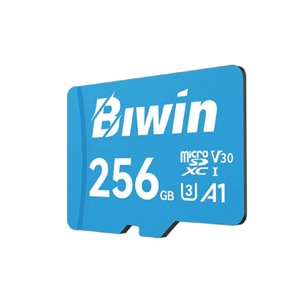 Tarjeta De Memoria Micro SD Biwin ms100 256GB