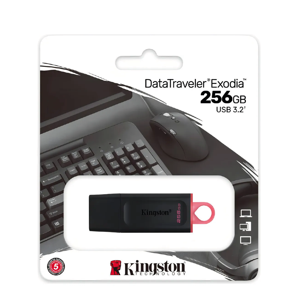 Memoria Usb tipo A Kingston DTX Usb 3.2 Gen1 -256GB